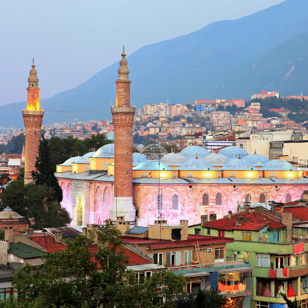 Bursa Özel VIP Tur